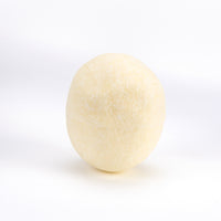 A single smooth, oval-shaped pale cream or off-white object centered on a clean white background.