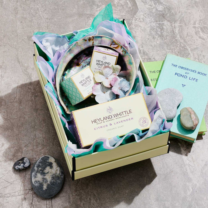 Seabreeze Gift Box