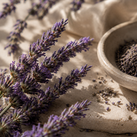 English Lavender Soap