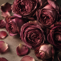 Vintage Rose Soap