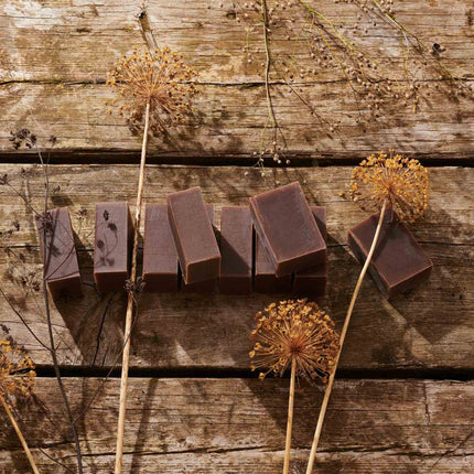 Several rectangular bars of dark brown soap arranged on a rustic wooden surface, with dried plant stems and seed heads placed around them.