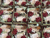 A grid arrangement of gift boxes containing gardening kits with wooden tools, lace, green leaves, and deep red hydrangea flowers. 